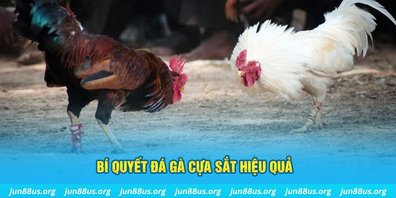 win 55 nổ hũ may mắn