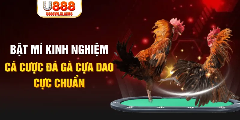 win 55 casino hồ tràm có cho người việt vào không