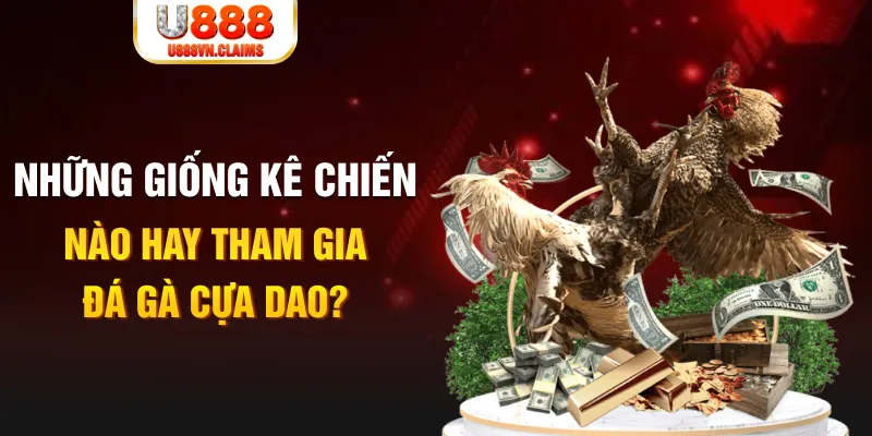 win 55 BG Trực Tuyến