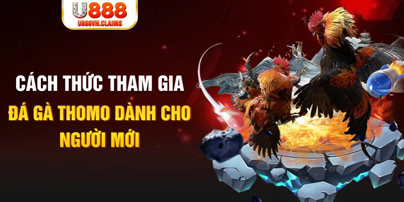 win 55 truc tiep da ga