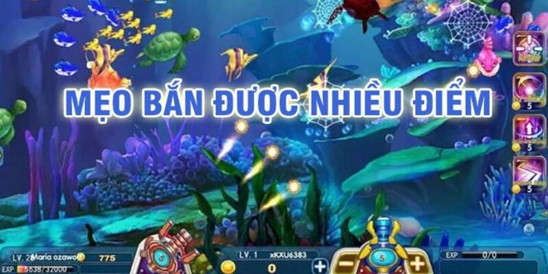 win 55 baccarat có lừa đảo không