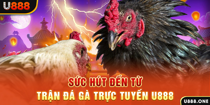 win 55 đăng nhập poker 2024