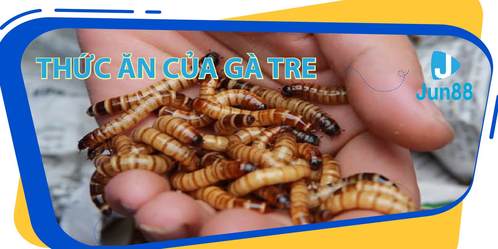 win 55 ban ca 30