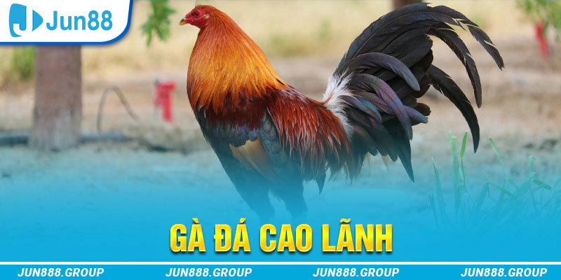 win 55 tai game vua bai ve may tinh