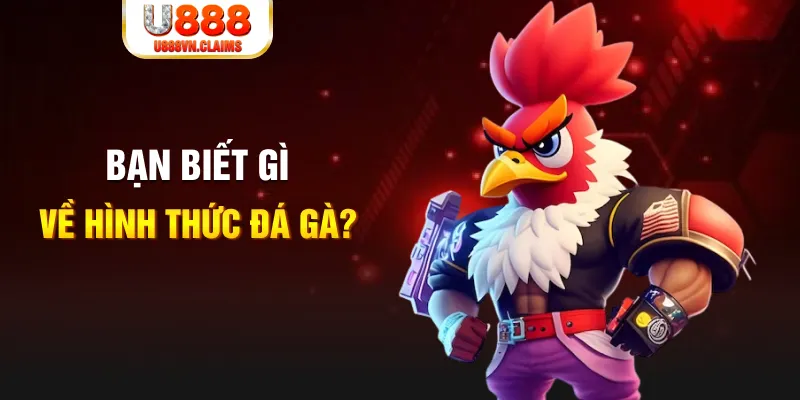 win 55 đăng nhập liêng tặng tiền