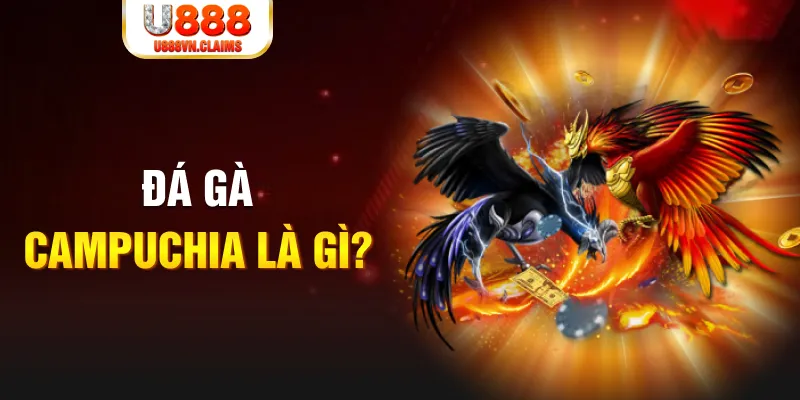 win 55 what is the best online casino for real money