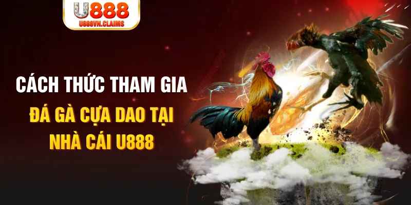 win 55 đá gà 88.com