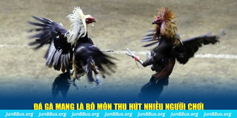 win 55 đăng nhập sòng bạc số 1