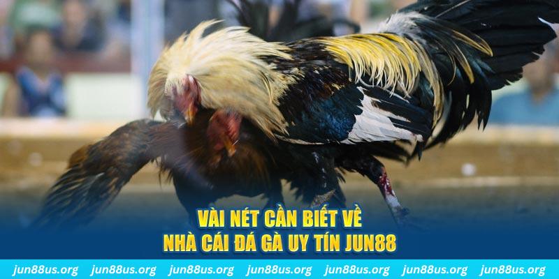 win 55 trò máy bay nổ hũ