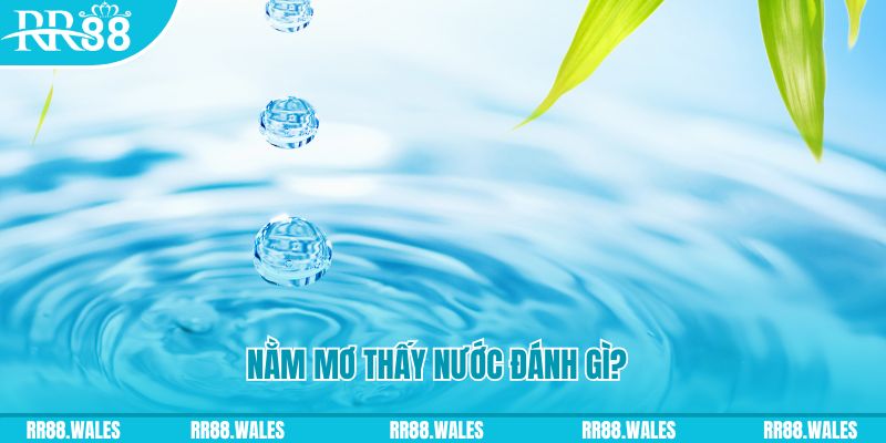 win 55 xổ số trực tiếp miền bắc
