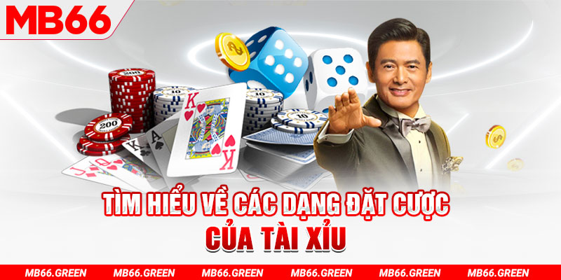 win 55 what is a casino loyalty program