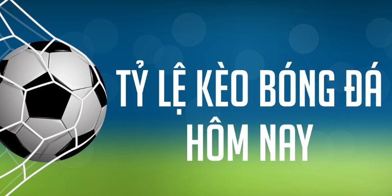 win 55 đăng nhập phỏm