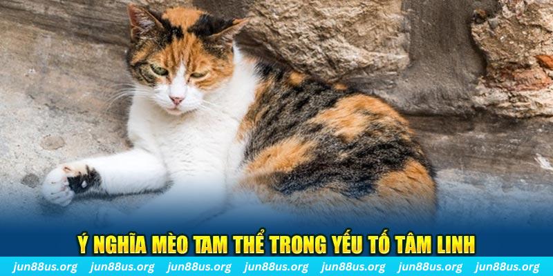 win 55 máy slot game là loại trò chơi gì？
