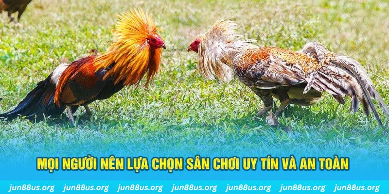 win 55 đăng nhập poker 2025