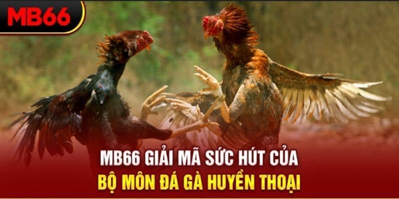 win 55 xổ số đài bắc