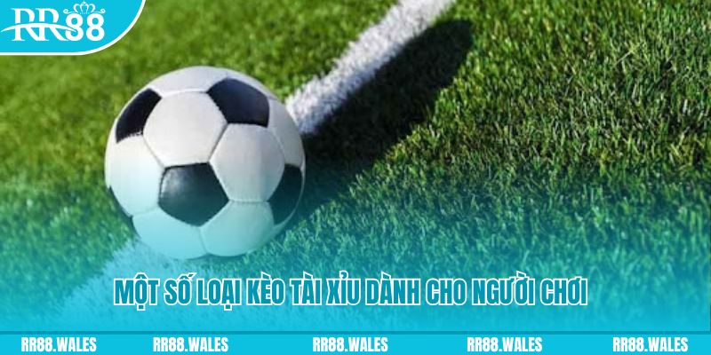 win 55 slot nghĩa là gì