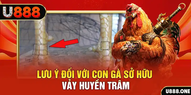 win 55 tải game đánh bài tiến lên miền nam về máy tính