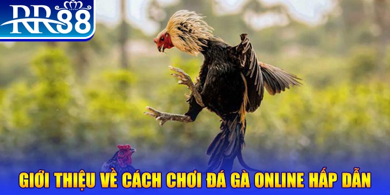 win 55 EvoPlay Điện Tử