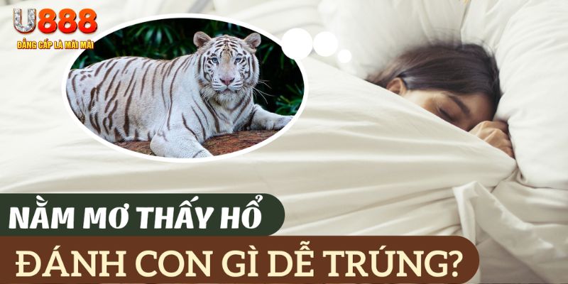win 55 nohu .mx nổ hủ là gì
