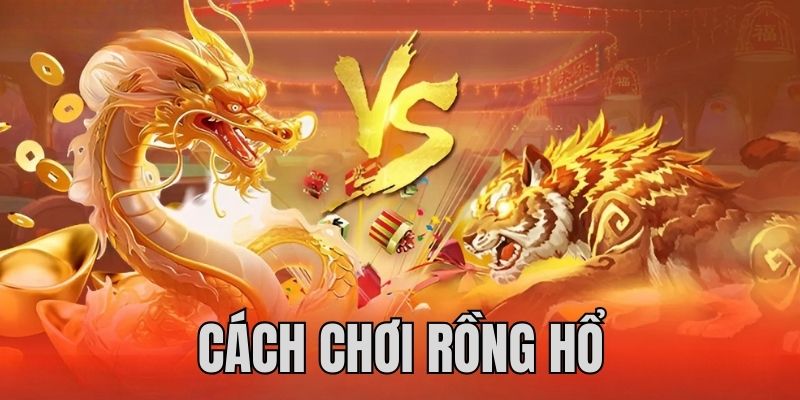 win 55 máy tính casino online