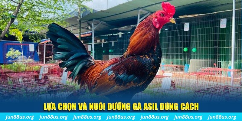 win 55 nổ hũ thần tài là gì