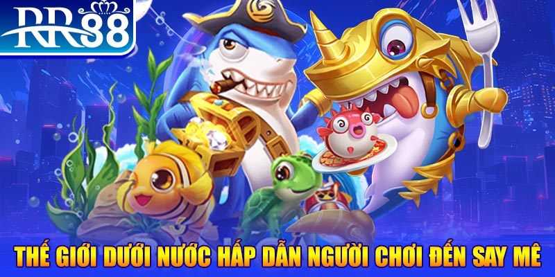 win 55 đăng nhập mậu binh dễ thắng