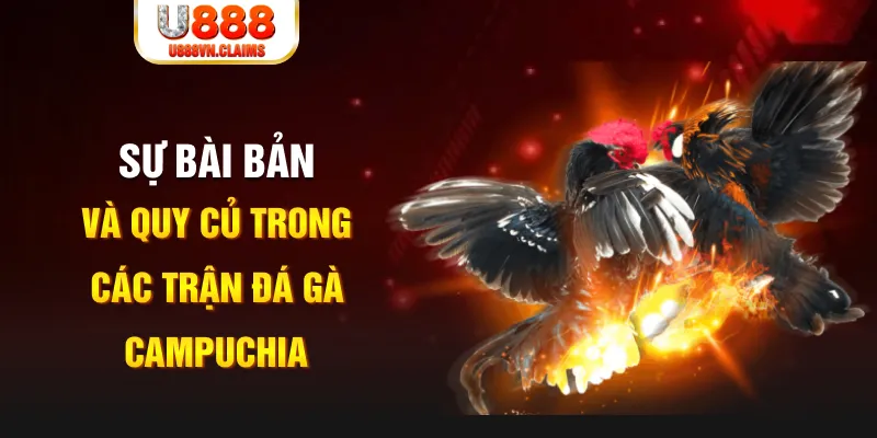 win 55 game xếp bài trên máy tính