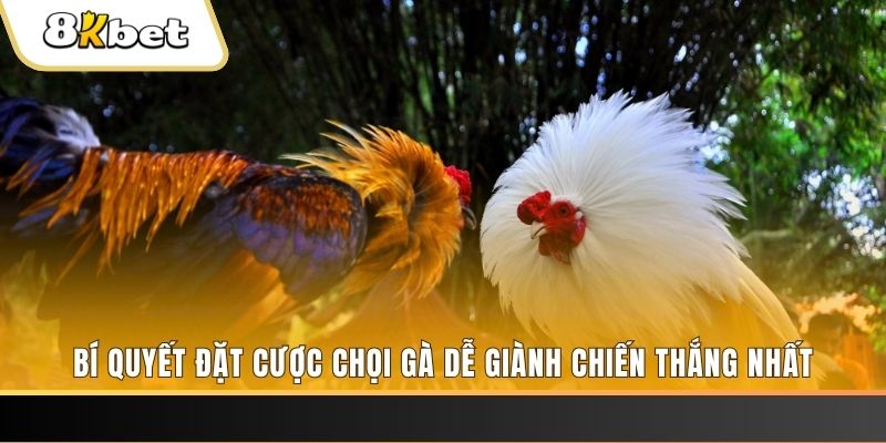 win 55 nổ hũ chơi như thế nào