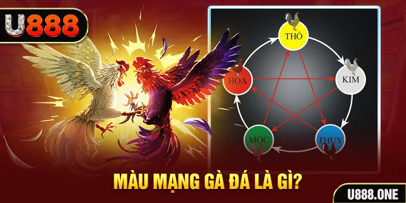 win 55 V8 Game Bài 3d