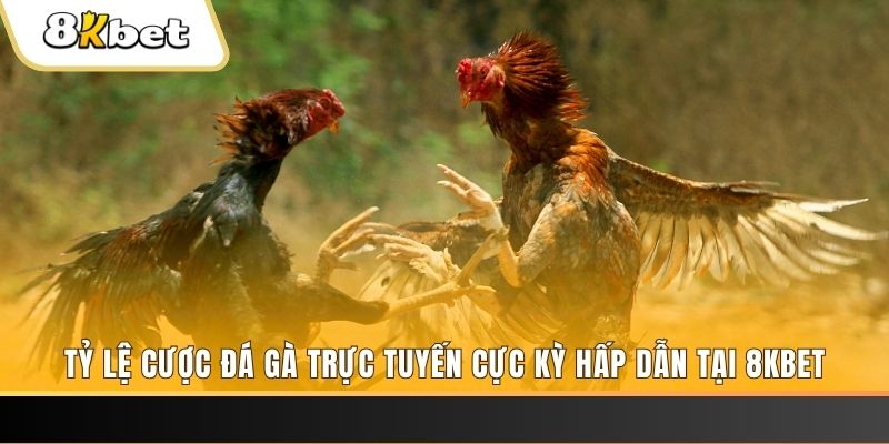 win 55 xổ số miền bắc chủ nhật