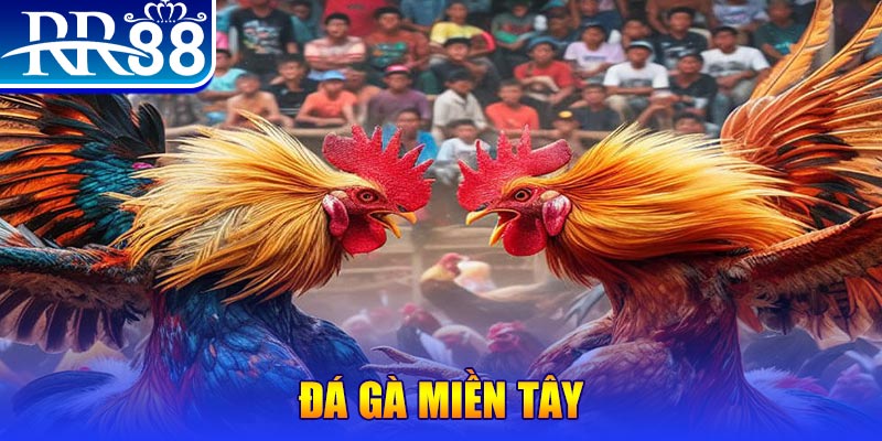 win 55 đăng nhập liêng đổi thưởng