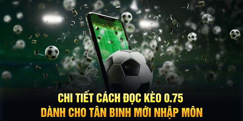 win 55 Xì tố