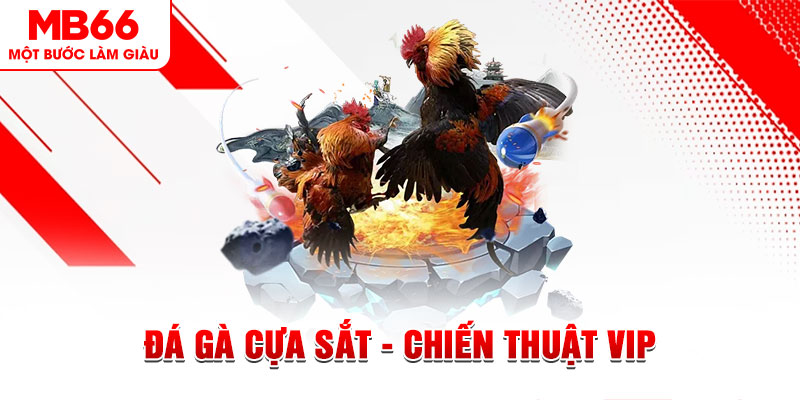 win 55 slot out là gì
