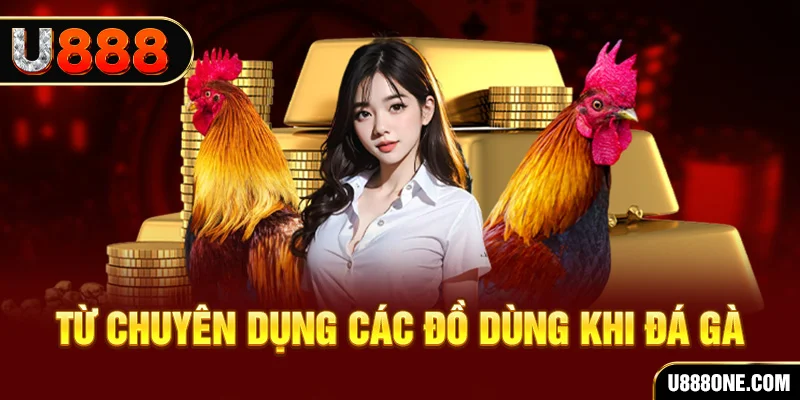 win 55 xổ số hồ chí minh