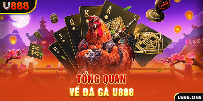 win 55 xổ số vietlott