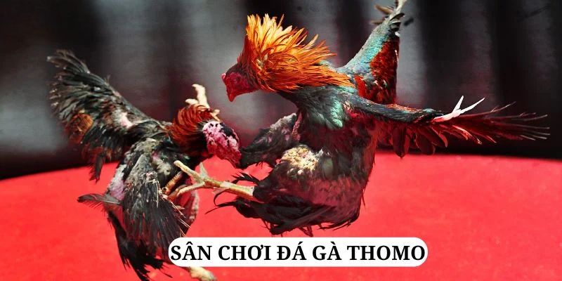 win 55 quay nổ hũ là gì