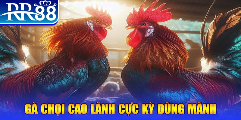 win 55 đăng nhập poker live